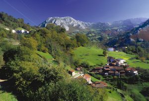 Cerrajeros Bimenes 24 horas